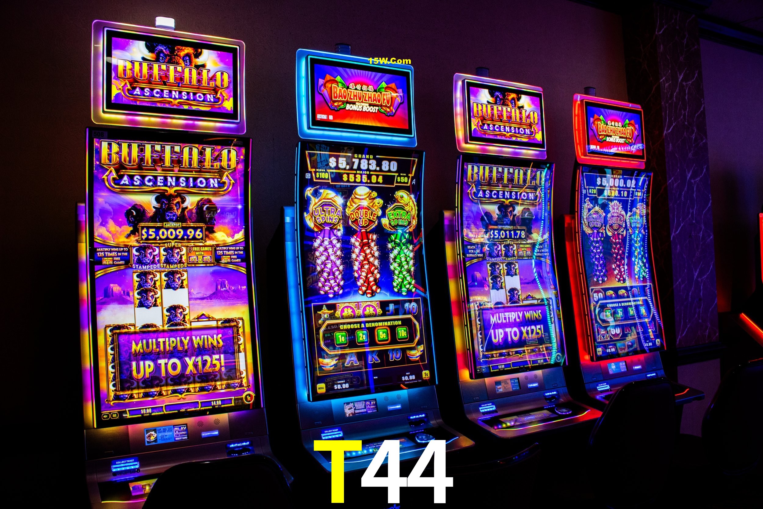 Sports Statistics T44